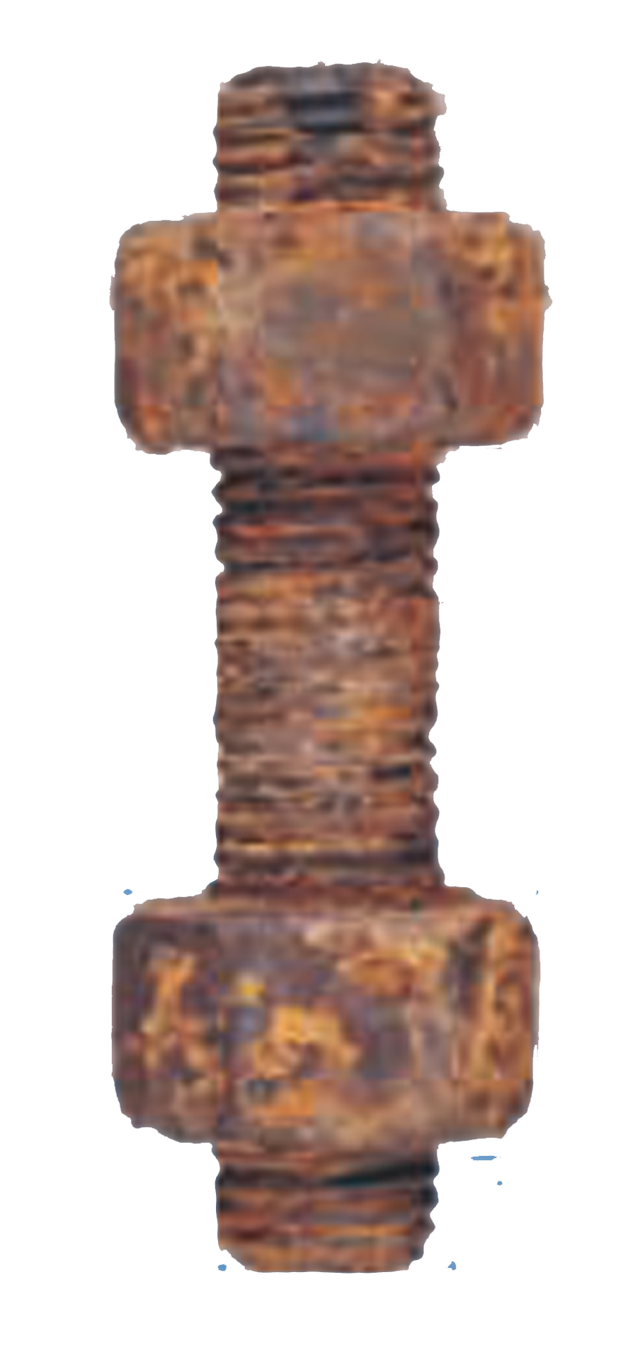 Process Bolt